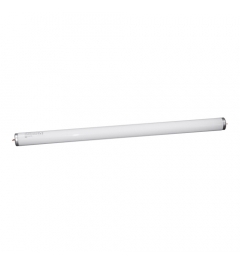 lamp 40W