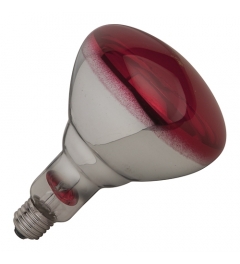 warmtelamp 250W