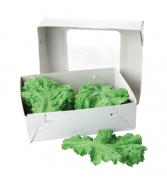 verdure décoration