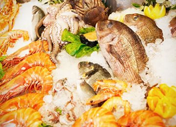 poisson, coquille, escargot